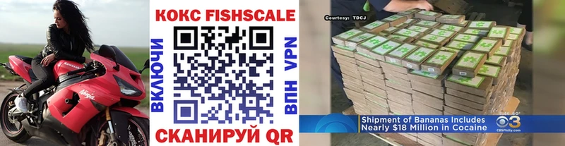 Кокаин FishScale  Сясьстрой 