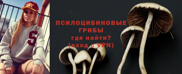 СК Алзамай