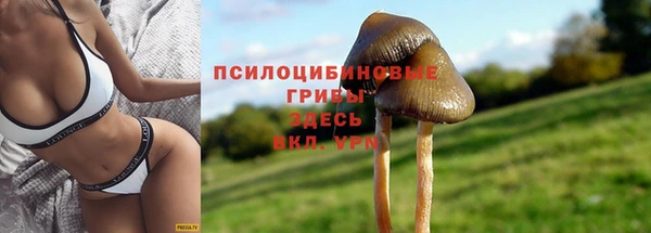 мяу мяу мука Алексин