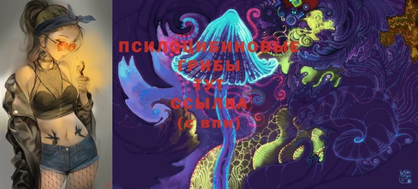 шишки Абдулино