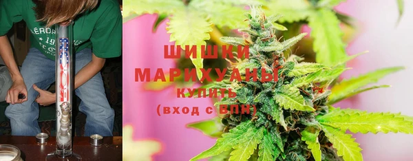 СК Алзамай