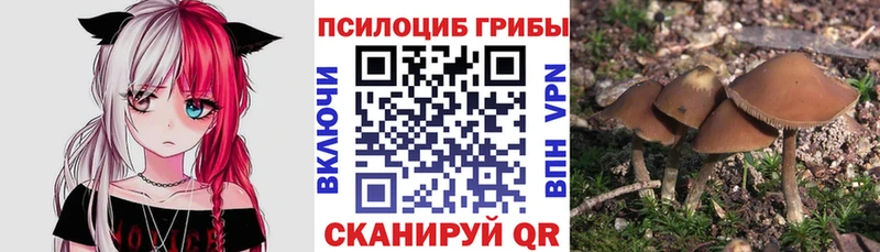 Галлюциногенные грибы GOLDEN TEACHER  Сясьстрой 